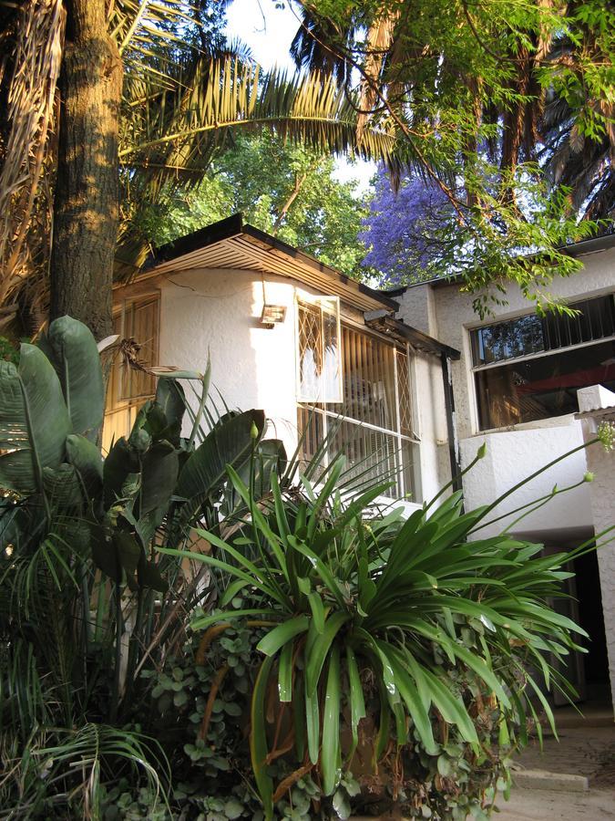 Rosebank Hostel Johannesburgo Exterior foto